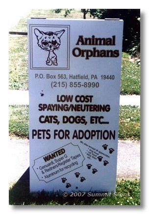 Animal Orphans